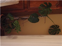 48266d3f-Picture 016.jpg